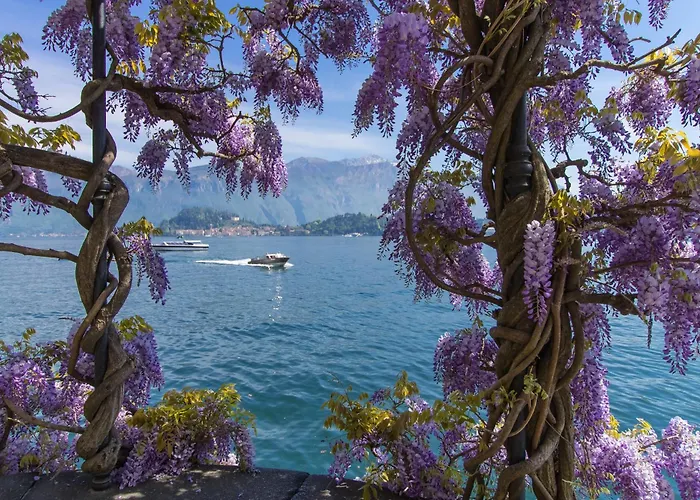 Vista Appartamento Cadenabbia